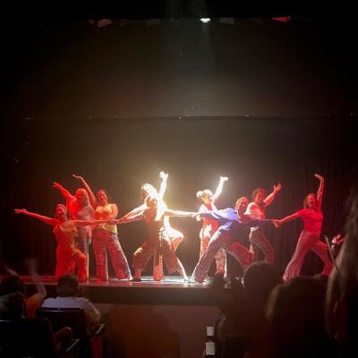 Imagen Muestra fin de curso del Taller de Danza