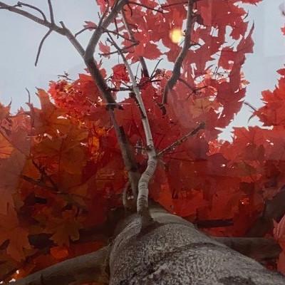 Imagen Exposición fin de curso del Taller de Fotografía