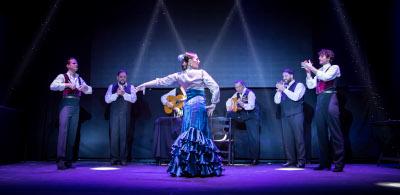 Imagen XXIII Festival Flamenco 