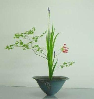 Imagen Taller de Ikebana: el arte floral de Japón