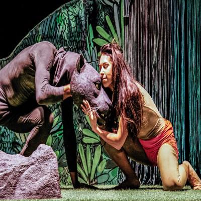 Imagen Teatro infantil ¡Soy salvaje!