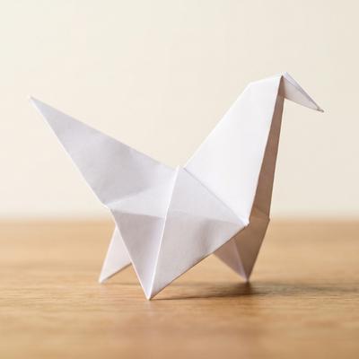Imagen Taller de origami
