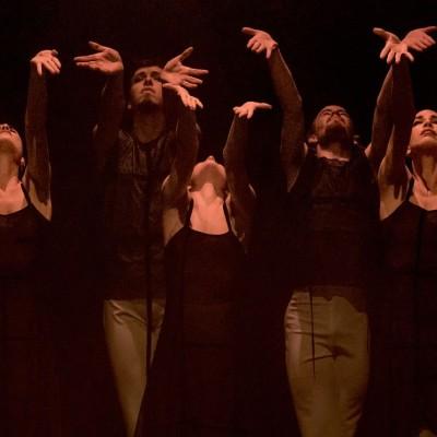 Imagen Danza - 