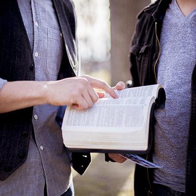 Imagen Intercambio y venta de libros de segunda mano entre vecinos de Majadahonda