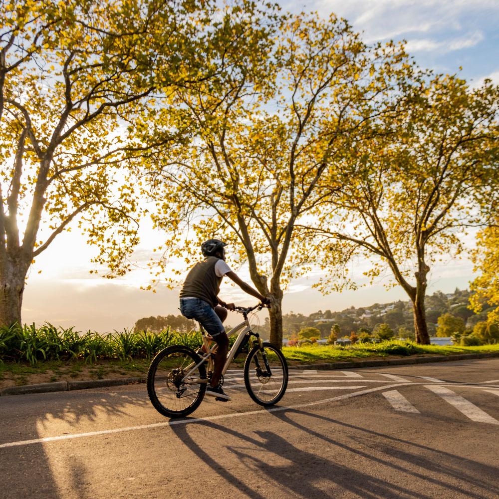 Imagen ¿Aún no eres usuario del BiciRegistro en Majadahonda? Protege tus bicicletas y patinetes eléctricos
