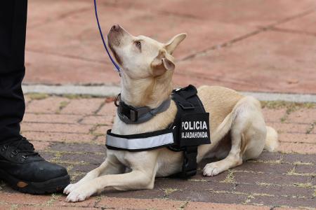 Imagen 027