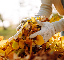 Imagen Mantenimiento y conservación