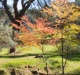 Imagen Monte del Pilar