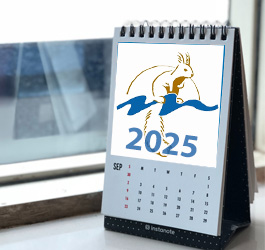 Imagen Liquidación presupuesto 2025 - Patronato Monte del Pilar